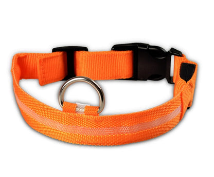 Glow in Dark Dog/Cat Leash