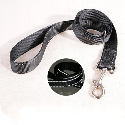 Medium and Large Dog Dog Collar