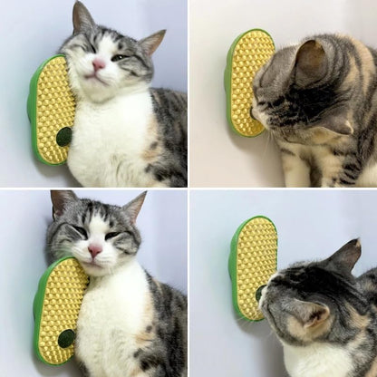 Catnip Toys Balls