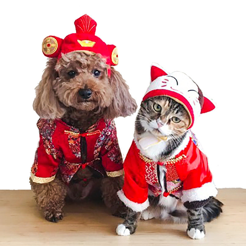Funny Pet Costume