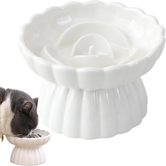 Ceramic Slow Feed Dish