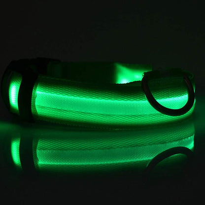 Glow in Dark Dog/Cat Leash