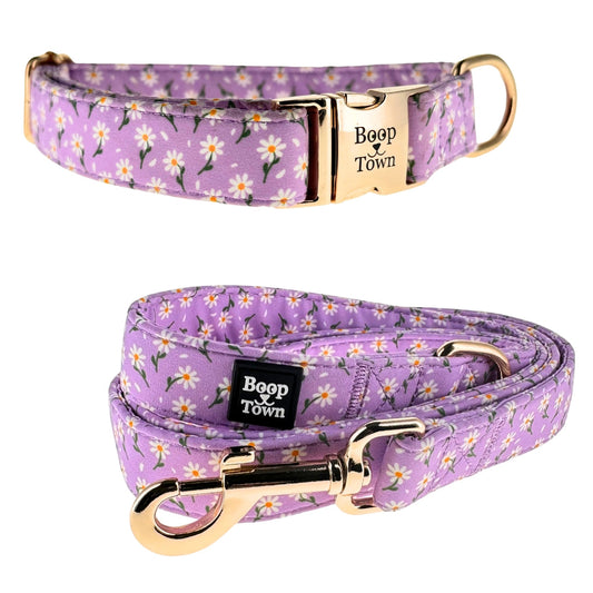 Dog Collar and Leash Set