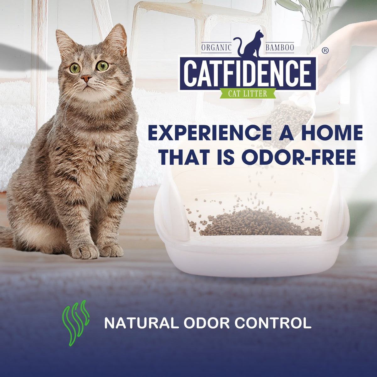 Natural Cat Litter