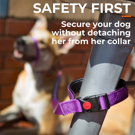 Canny Lockable Leash