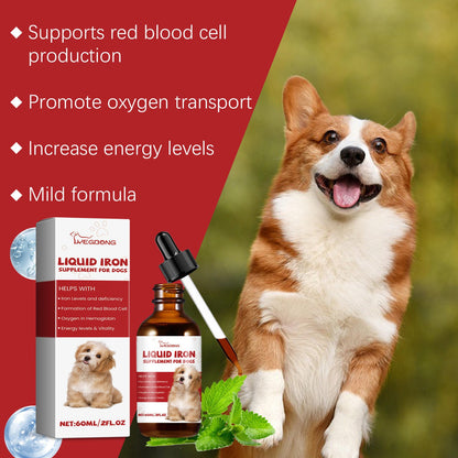 Care For Pet Dogs