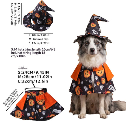 Pet Costume