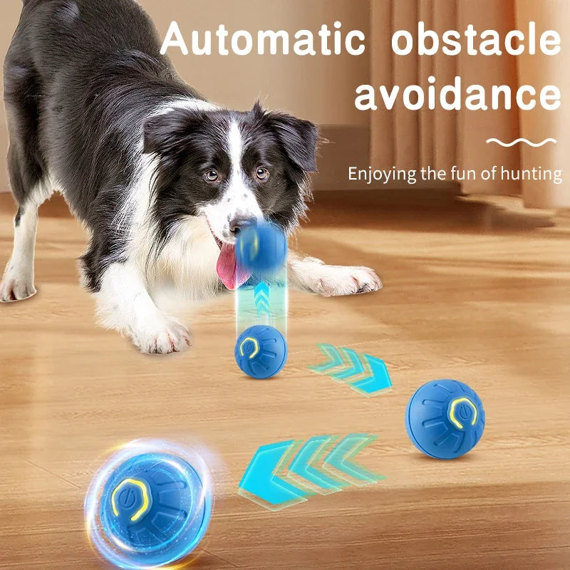Dog Toy Ball