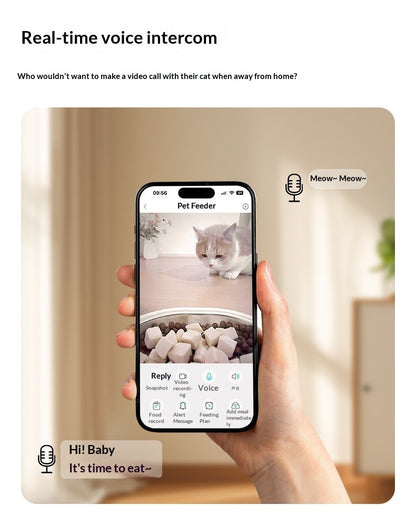 Automatic Dog Feeder