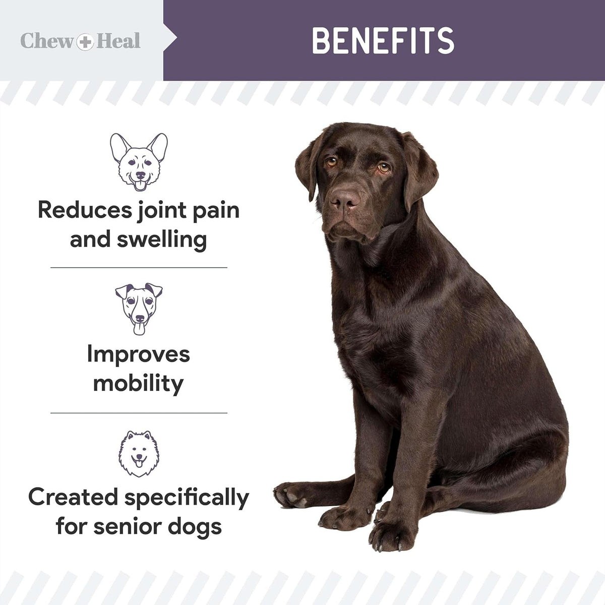 Senior Dog Joint Supplement