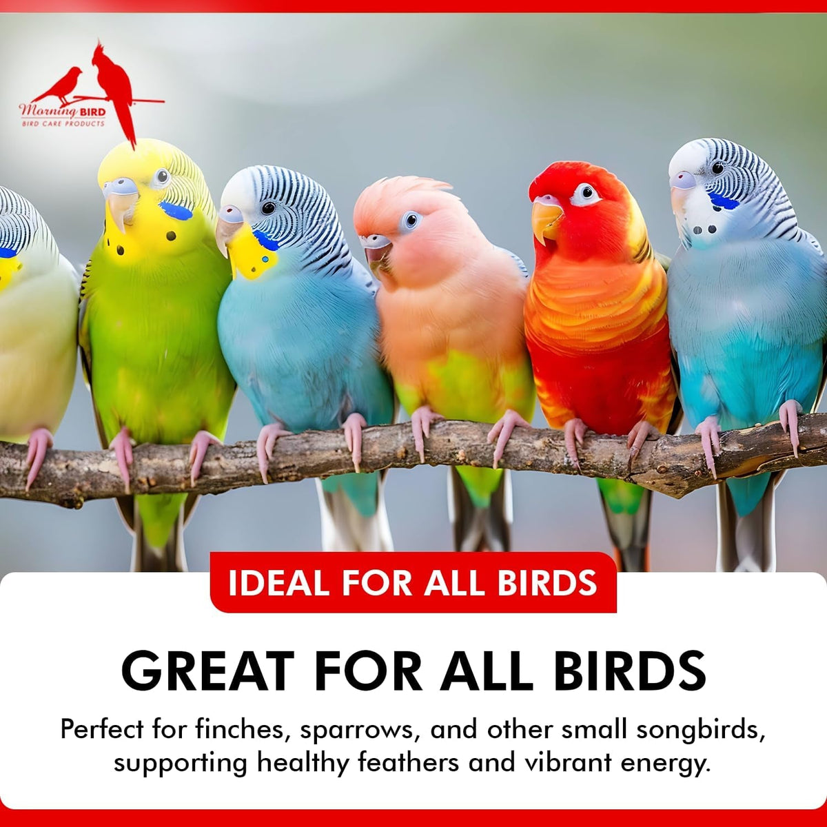 Liquid Iodine Supplement for Birds