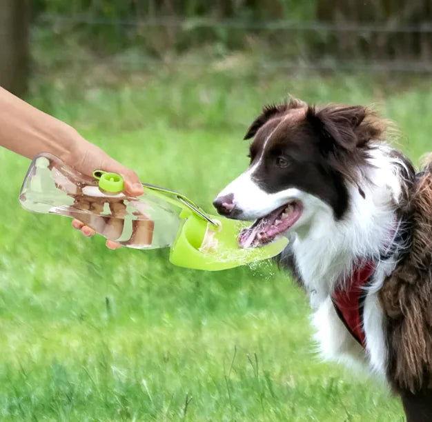 Pet Flip Cup Bottle