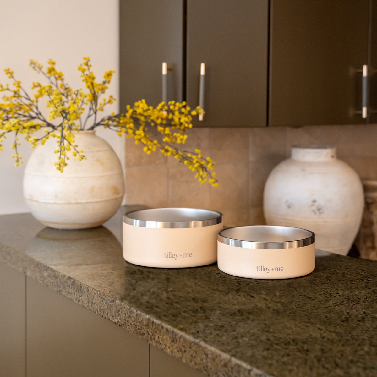 Stainless Steel Pet Bowl