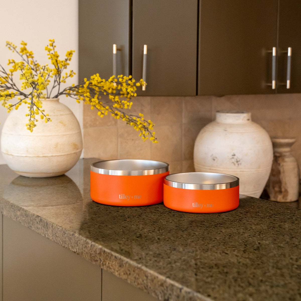 Stainless Steel Pet Bowl