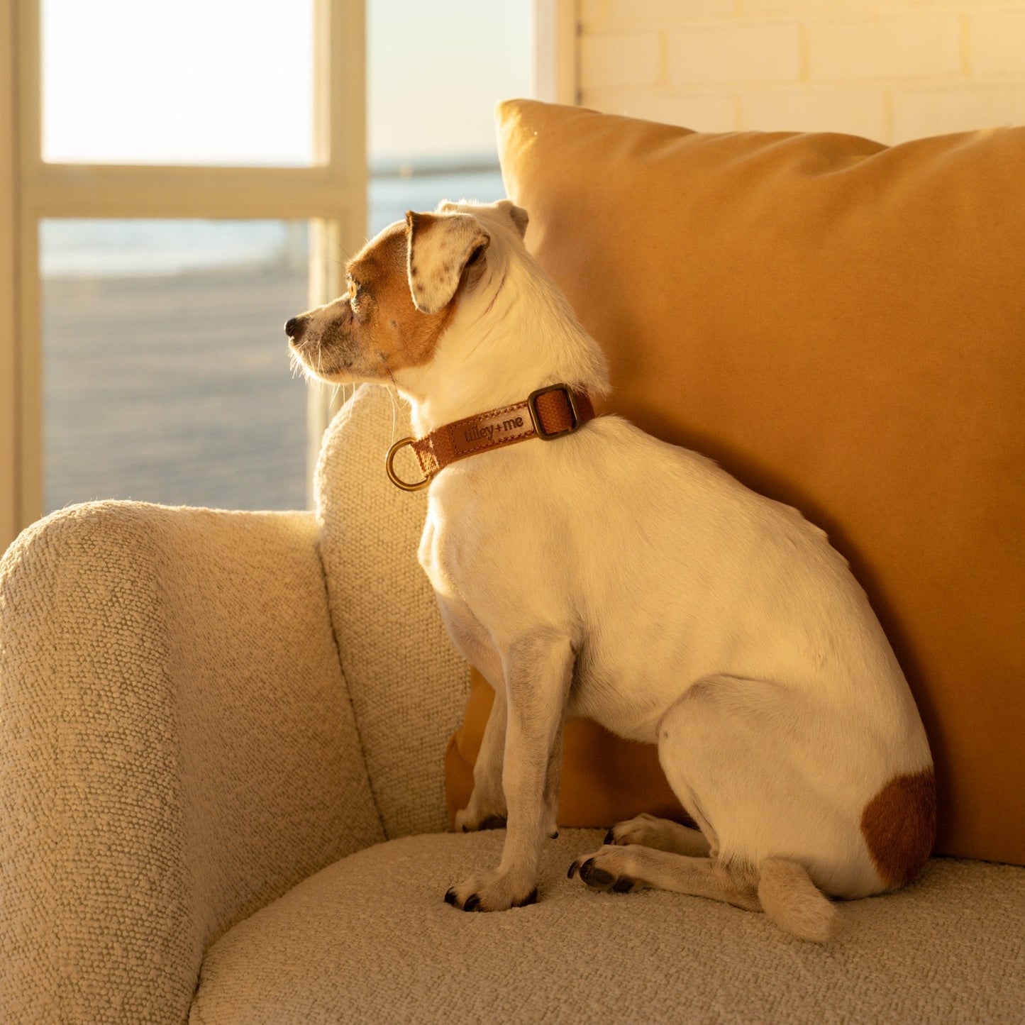 Hemp Cotton Dog Collar