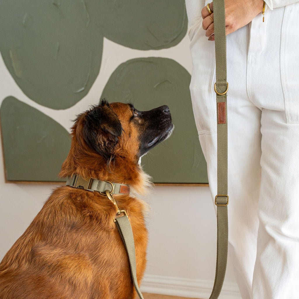 Hemp Cotton Dog Collar