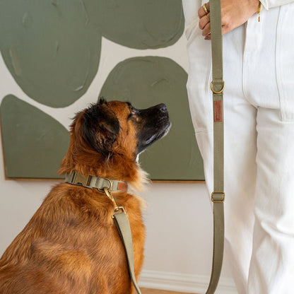 Hemp Cotton Dog Collar