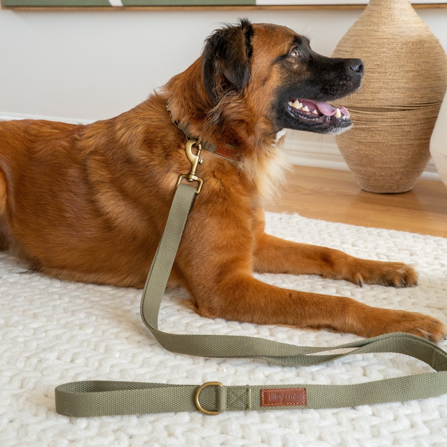 Hemp Cotton Dog Collar