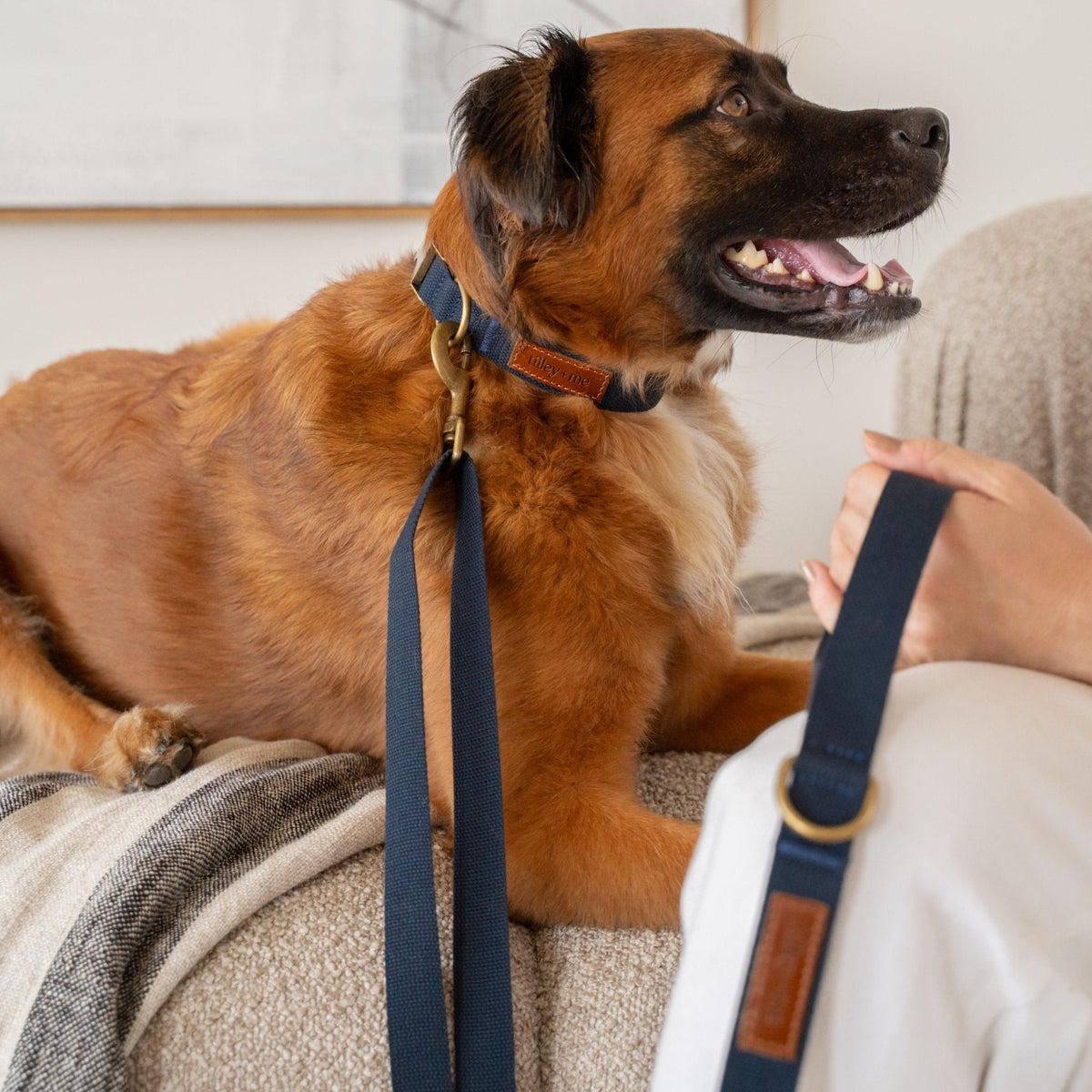 Hemp Cotton Dog Leash