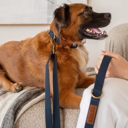 Hemp Cotton Dog Leash