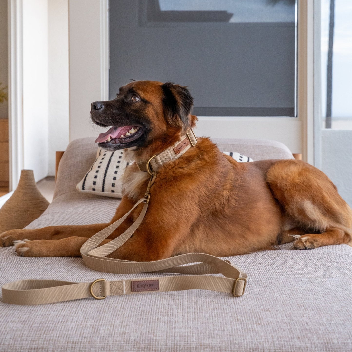 Hemp Cotton Dog Leash