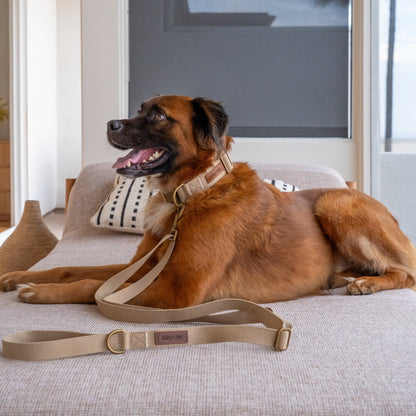 Hemp Cotton Dog Leash