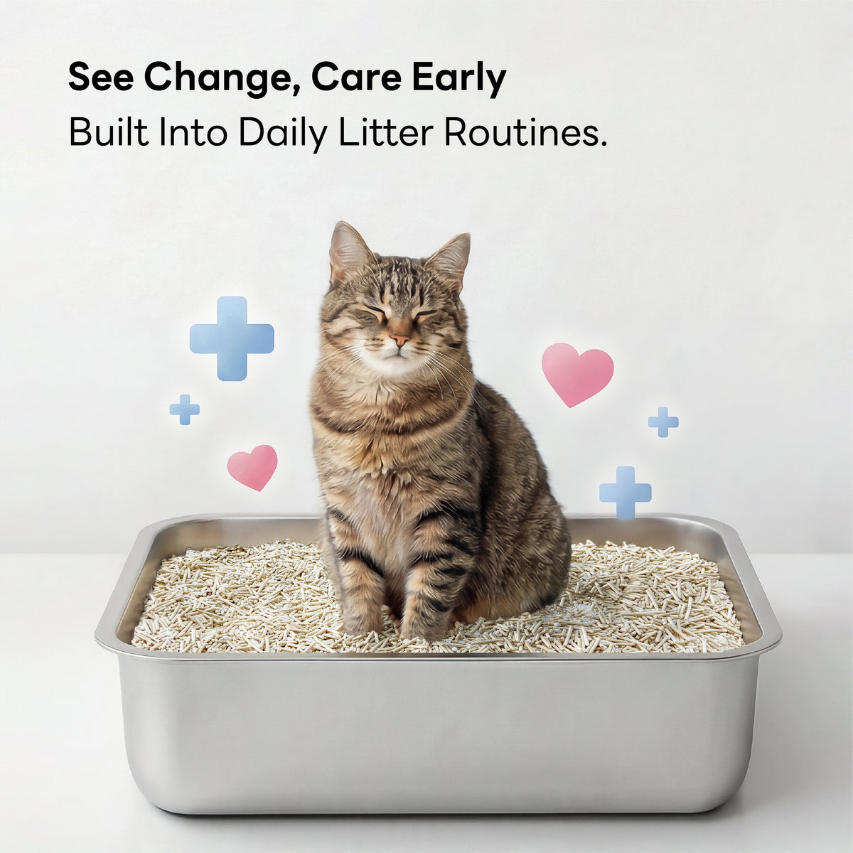 Cat Litter Low Dust