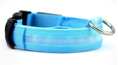 Glow in Dark Dog/Cat Leash