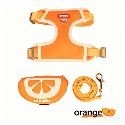 Dog Harness and Leash Set