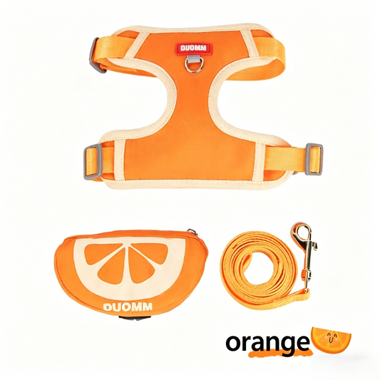 Dog Harness and Leash Set