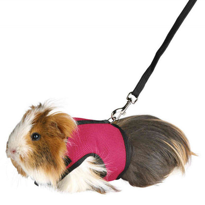 Bunny, Hamster Harness Leash