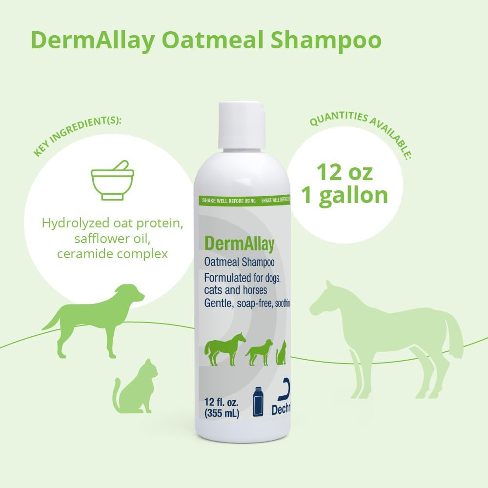 Shampoo for Dogs Cats
