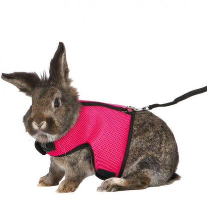 Bunny, Hamster Harness Leash