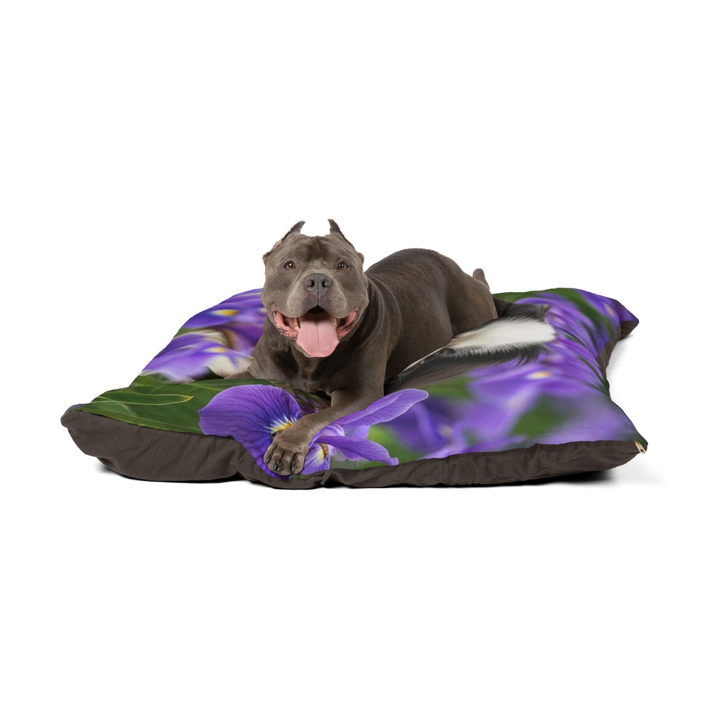 Plush Dog Bed