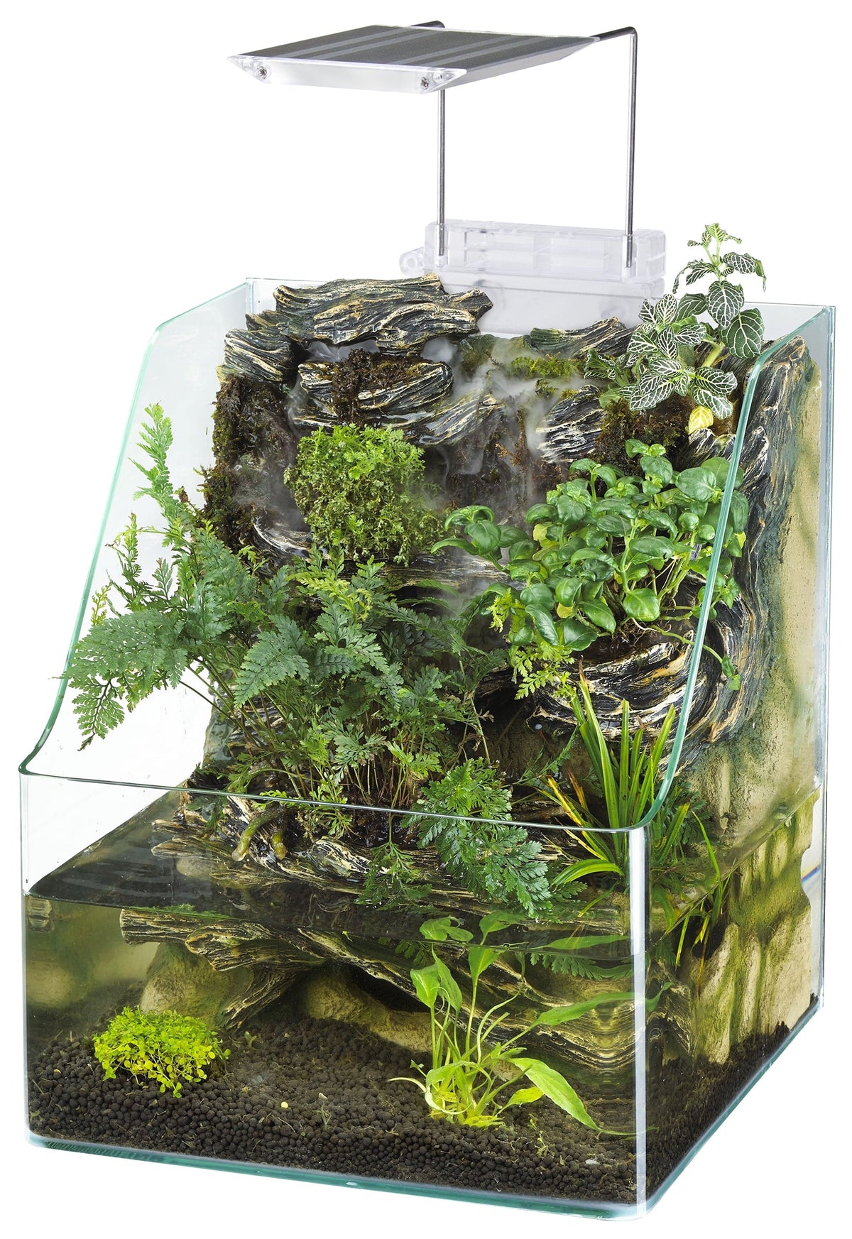 Glass Aquarium