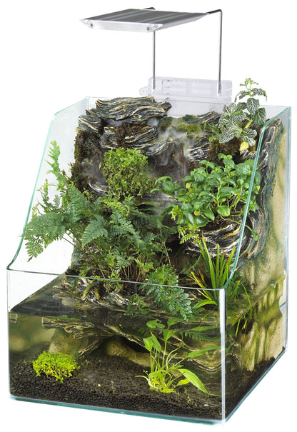 Glass Aquarium
