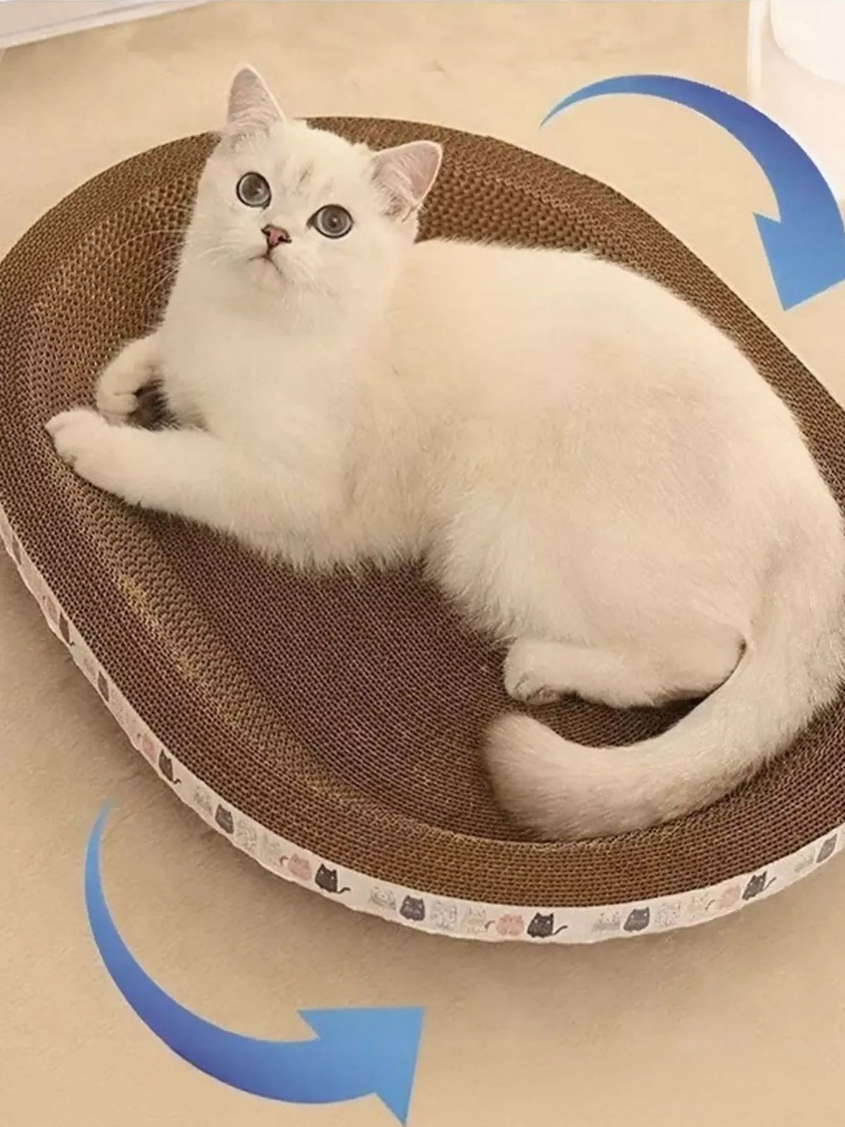 Cat Scratching Bed