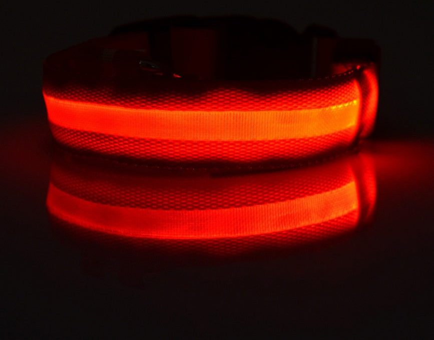 Glow in Dark Dog/Cat Leash