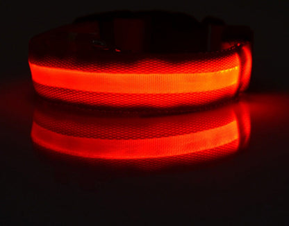 Glow in Dark Dog/Cat Leash