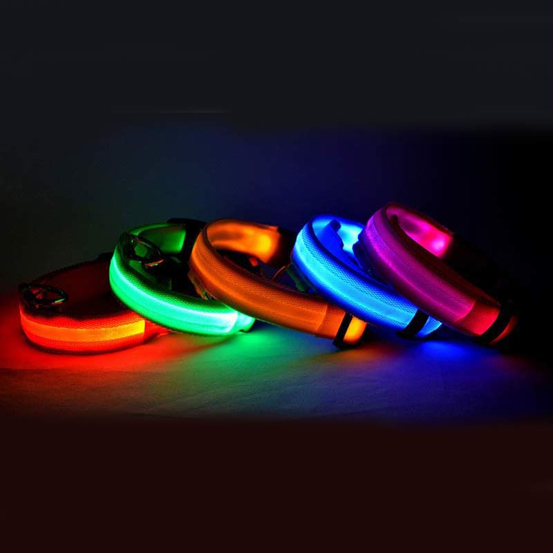 Glow in Dark Dog/Cat Leash
