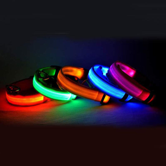 Glow in Dark Dog/Cat Leash