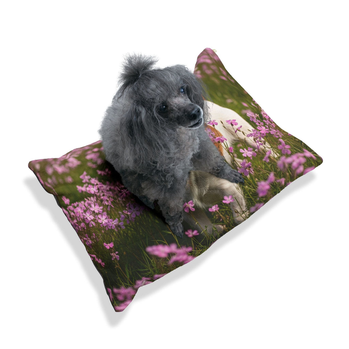 Plush Dog Bed
