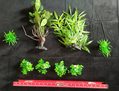 Aquarium Plant Package