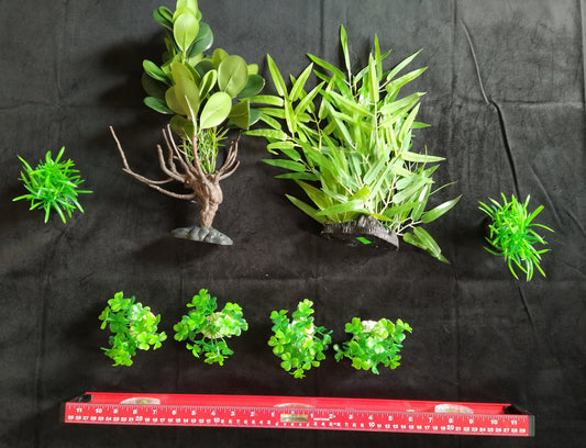 Aquarium Plant Package