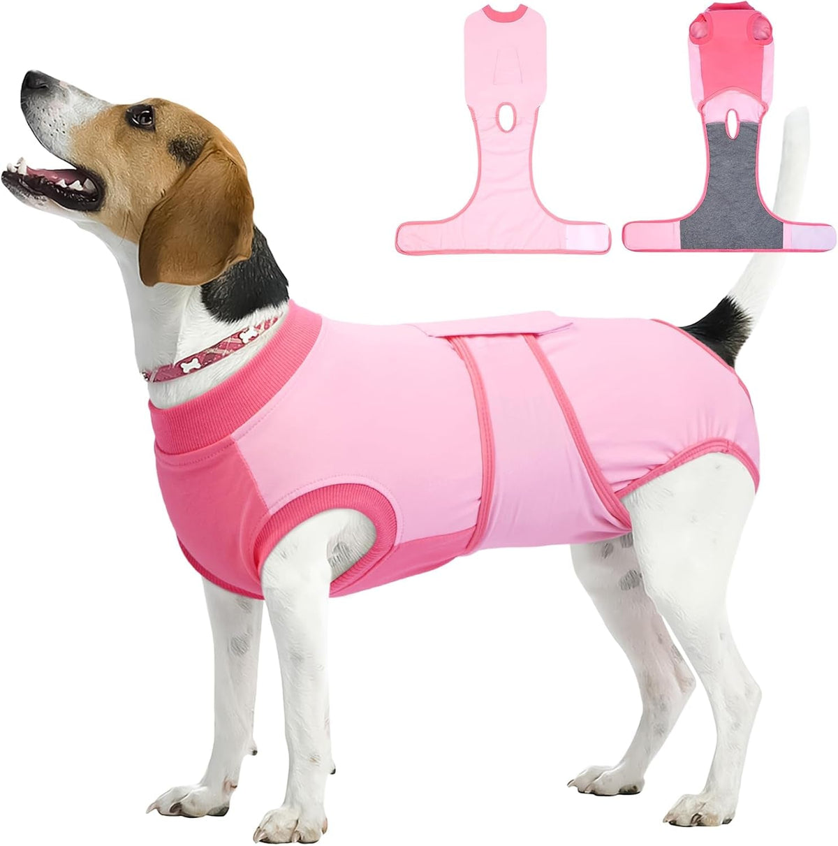 Female Dog Recovery Suit — Post-Spay & Surgery Coverage, Soft & Breathable (XS–2XL)