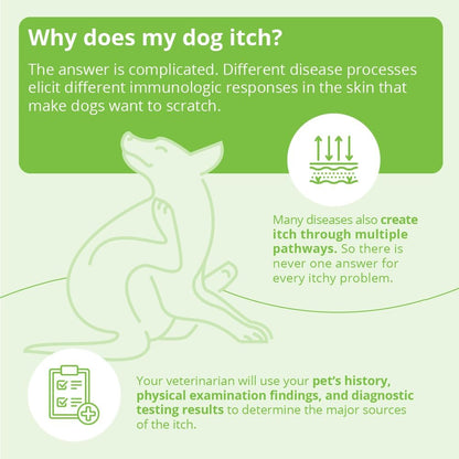 Shampoo for Dogs Cats