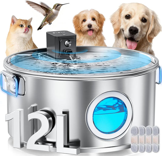 Wireless Water Fountain
