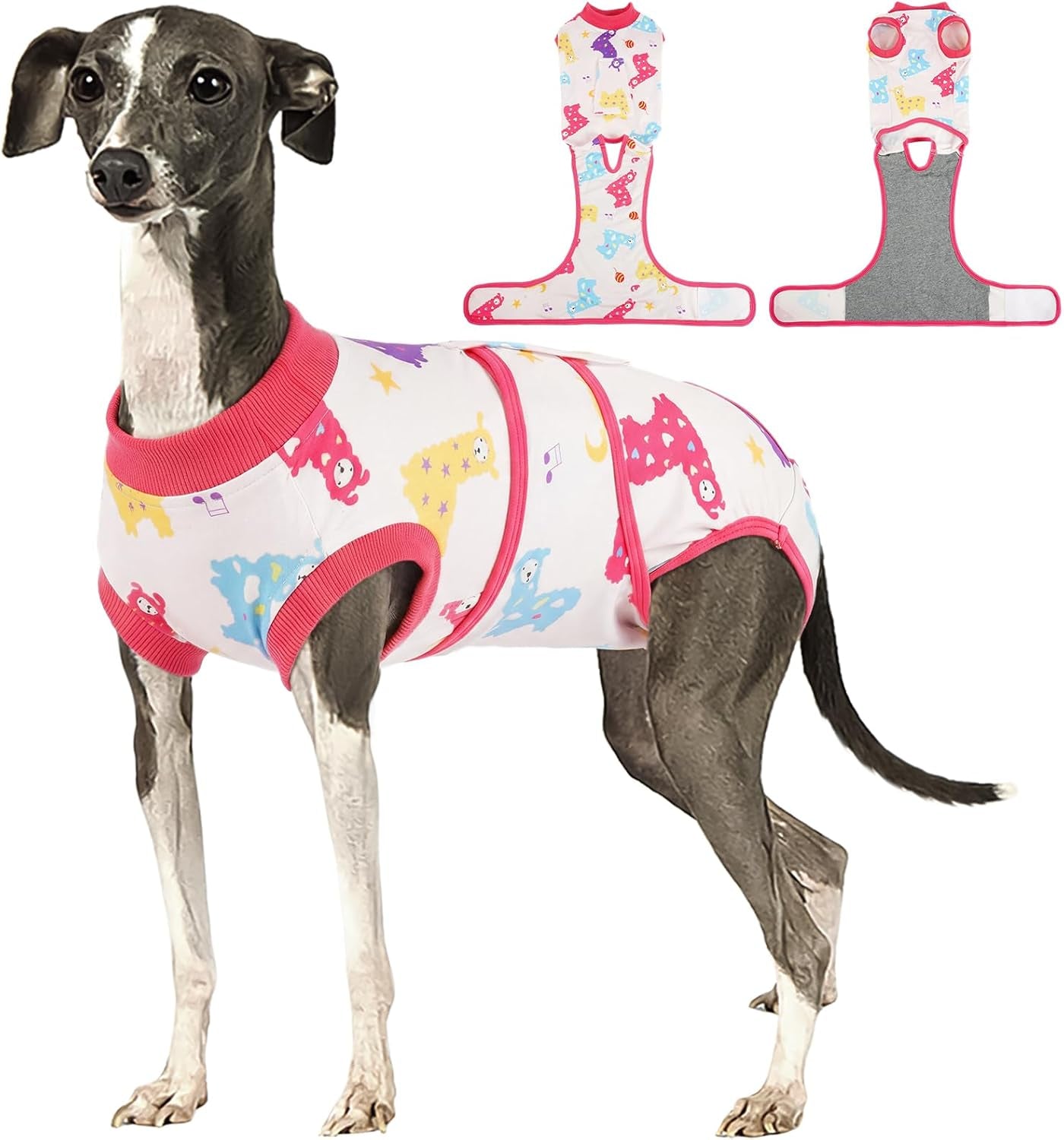 Female Dog Recovery Suit — Post-Spay & Surgery Coverage, Soft & Breathable (XS–2XL)