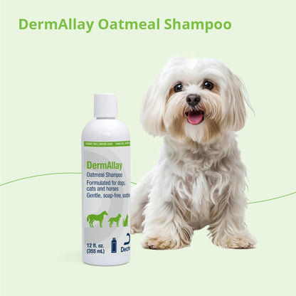 Shampoo for Dogs Cats