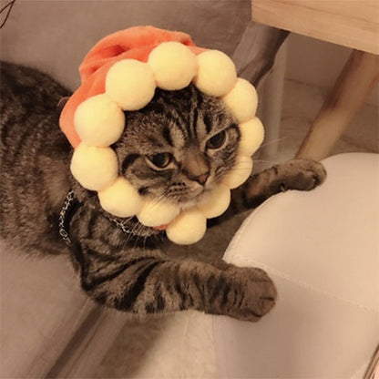 Funny Pet Costume